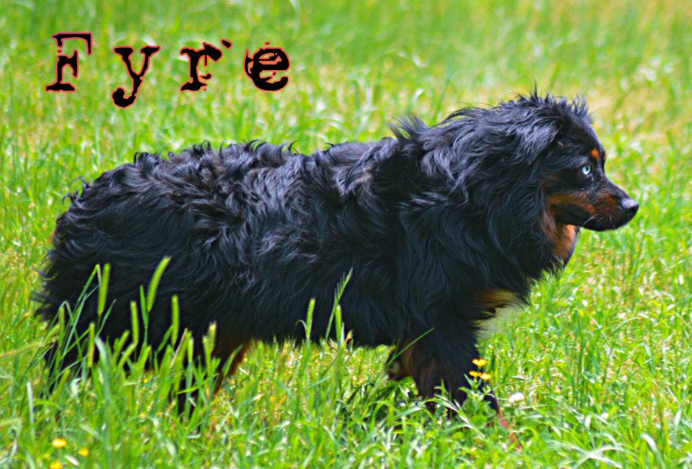 Fyrefly´s Mutter