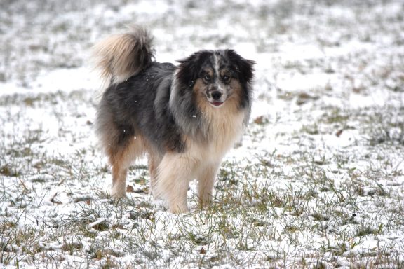 Nun ist er "Erwachsen"
