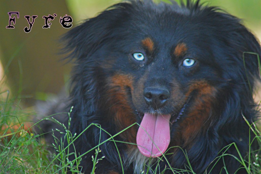 Fyrefly´s Mutter
